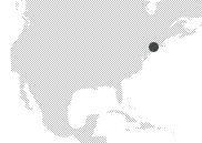 New_york_original