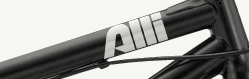 Alli_thumbnail_original
