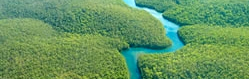 Sustainability_thumbnail_original_original